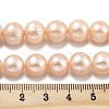 Natural Cultured Freshwater Pearl Beads Strands PEAR-C003-22C-5