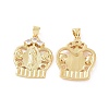 Brass Micro Pave Cubic Zirconia Pendants ZIRC-P106-20G-1