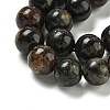 Natural Phlogopite Beads Strands G-P546-A01-03-3