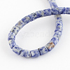 Natural Blue Spot Jasper Bead Strands X-G-R187-06-2