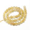 Natural Gold Rutilated Quartz Beads Strands G-R446-6mm-12-2