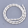 Freshwater Shell Beads Strands X-SHEL-T012-48-2