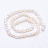 Natural Cultured Freshwater Pearl Beads Strands PEAR-F004-13-2