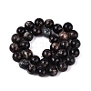 Natural Biotite Beads Strands G-Q616-01E-3