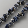 Natural Blue Spot Jasper Beads Strands G-WH0035-25B-1