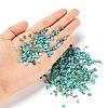 Synthetic Turquoise Chip Beads G-FS0001-13-5