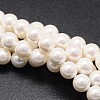 Shell Pearl Beads Strands X-BSHE-E008-12mm-12-1