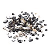 Natural Black Lip Shell Beads SSHEL-K026-02A-2