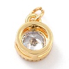 Real 18K Gold Plated Brass Inlaid Cubic Zirconia Charms ZIRC-L100-081G-05-3
