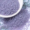 MIYUKI Round Rocailles Beads X-SEED-G007-RR0525-1