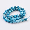 Natural Apatite Beads Strands G-F568-020-10mm-2