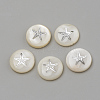 Natural Freshwater Shell Beads X-SHEL-Q011-008P-1