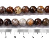 Natural Mexico Crazy Agate Beads Strands G-L615-A01-02-3