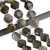 Natural Labradorite Beads Strands G-N368-01A-07-1