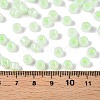 Glass Seed Beads SEED-T008-01D-5