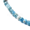 Natural Apatite Beads Strands G-I254-08E-4