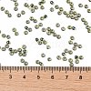 TOHO Round Seed Beads X-SEED-TR08-0244-4