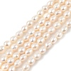 Natural Cultured Freshwater Pearl Beads Strands PEAR-I007-01A-02A-2