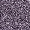MIYUKI Round Rocailles Beads SEED-X0054-RR0437-3