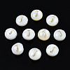 Natural Freshwater Shell Beads SHEL-S278-036J-1