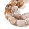 Natural Cherry Blossom Agate Beads Strands G-P535-H02-01-4