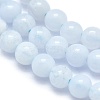 Natural Blue Lace Agate Beads Strands G-A177-04-09-3