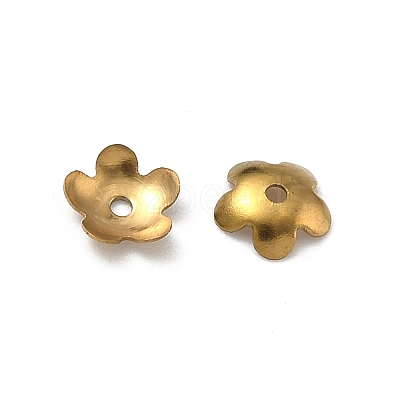 304 Stainless Steel Bead Caps STAS-P448-09I-G-1