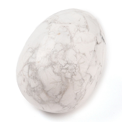 Natural Howlite Palm Stones LS-G-I367-04B-1