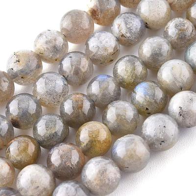 Natural Labradorite Beads Strands X-G-G212-8mm-23-1
