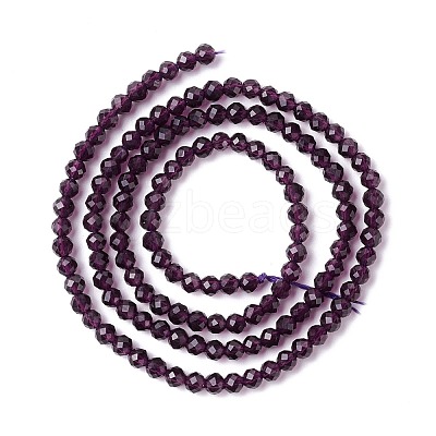 Transparent Glass Beads Strands GLAA-C019-01B-16-1