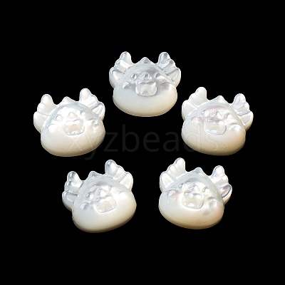 Natural White Shell SHEL-M020-03B-1