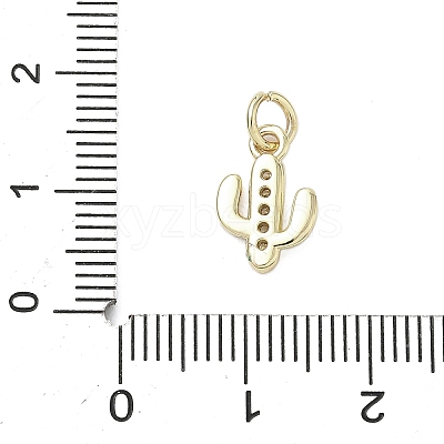 Brass Micro Pave Cubic Zirconia Charms LS-KK-K368-04A-G-1