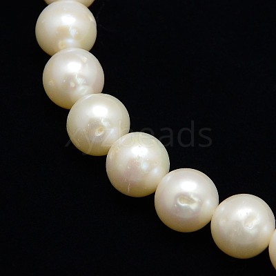 Natural Cultured Freshwater Pearl Beads Strands PEAR-L001-I-13-1