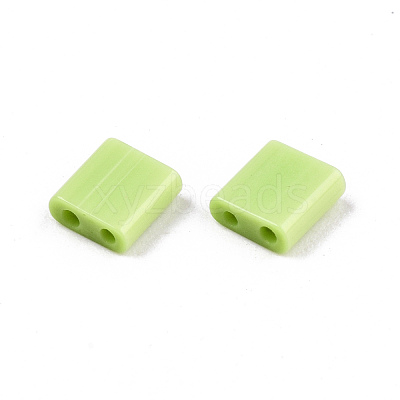 FGB 2-Hole Glass Seed Beads SEED-S031-L-ST44-1