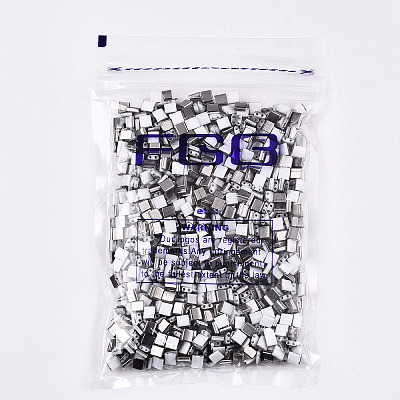 FGB 2-Hole Glass Seed Beads SEED-S031-L-ST41-H-1