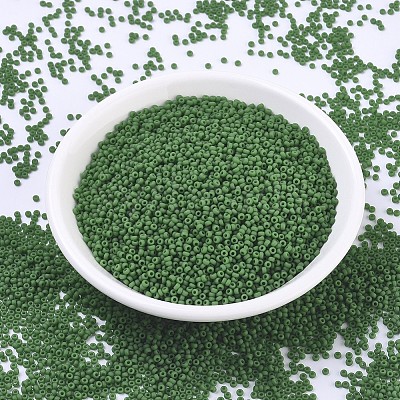 MIYUKI Round Rocailles Beads X-SEED-G007-RR0411F-1