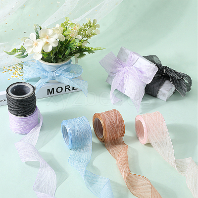 Polyester Pleated Ribbons SRIB-WH20020-005E-1