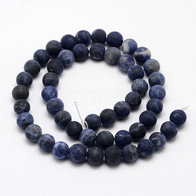 Natural Sodalite Beads Strands X-G-D682-10mm-1