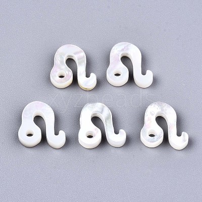 Natural White Shell Beads X-SSHEL-ZX004-02J-1