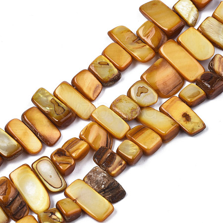 Natural Trochid Shell/Trochus Shell Beads Strands SHEL-S258-082-B09-1