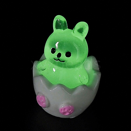 Broken Shell Animal Luminous Resin Display Decorations DJEW-M010-02E-1