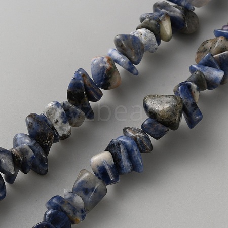 Natural Blue Spot Jasper Beads Strands G-WH0035-25B-1