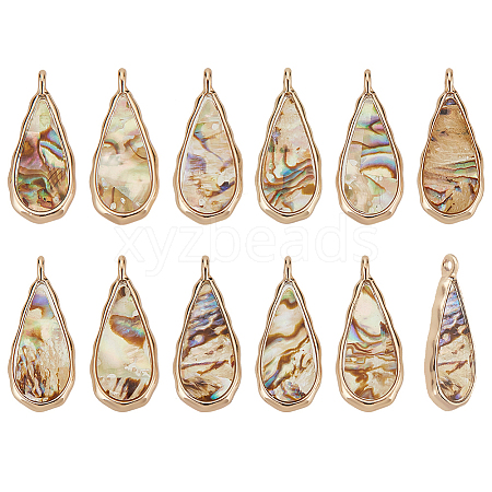 BENECREAT 12Pcs Alloy Resin Pendants with Natural Paua Shell FIND-BC0005-53-1