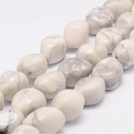 Natural Howlite Bead Strands G-K153-D15-1