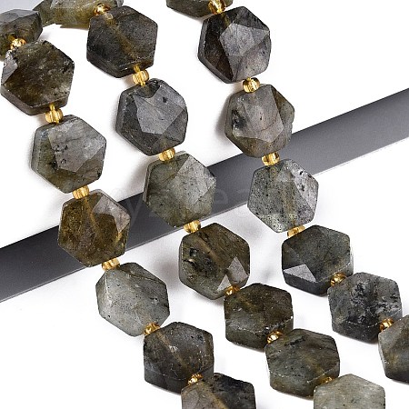 Natural Labradorite Beads Strands G-N368-01A-07-1