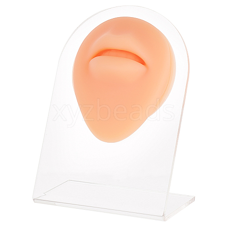 Soft Silicone Mouth Flexible Model Body Part Displays with Acrylic Stands ODIS-WH0002-22-1