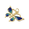 Rack Plating Brass Enamel Pendants KK-G504-04G-01-2