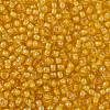 TOHO Round Seed Beads SEED-JPTR11-0949-2