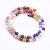 Cat Eye Beads Strands CE-F021-6mm-A02-2