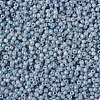 TOHO Round Seed Beads X-SEED-TR11-1205-2